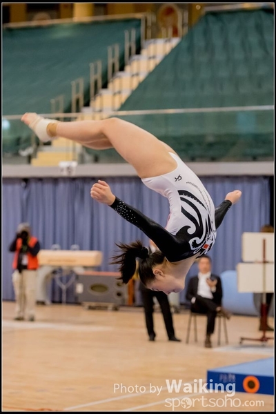 2017-01-15 Artistic Gymnastics 0317