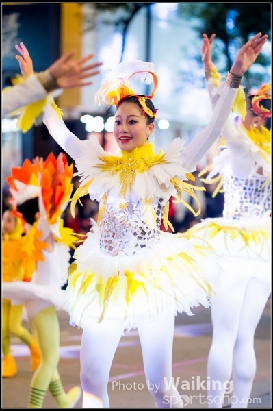 2017-01-28 Night Parade 0371