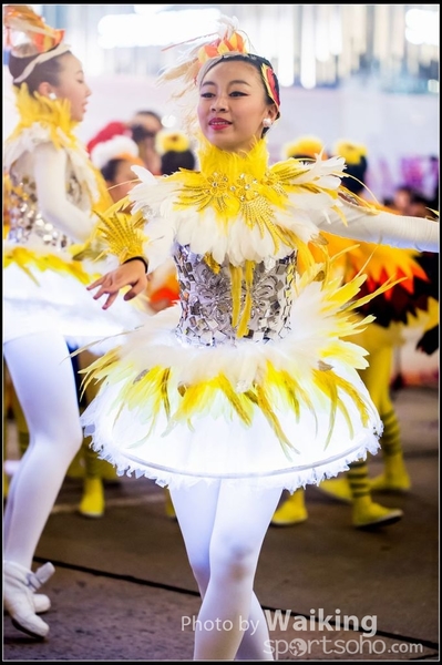 2017-01-28 Night Parade 0378