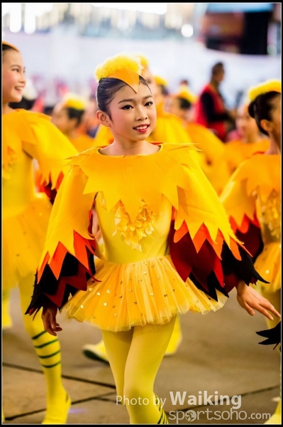 2017-01-28 Night Parade 0384