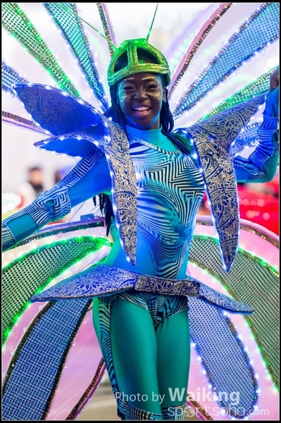 2017-01-28 Night Parade 0662