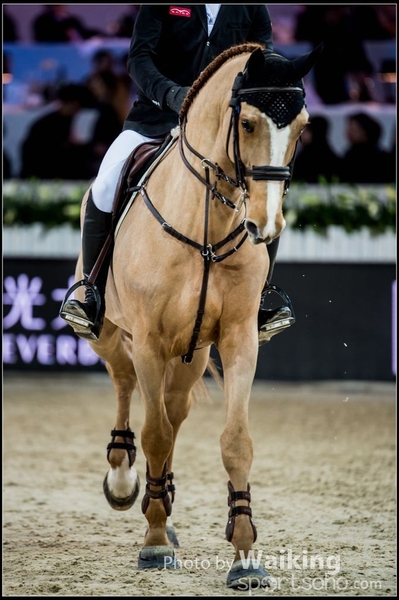 2017-02-10 Lonines Masters 0130