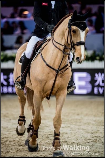 2017-02-10 Lonines Masters 0131