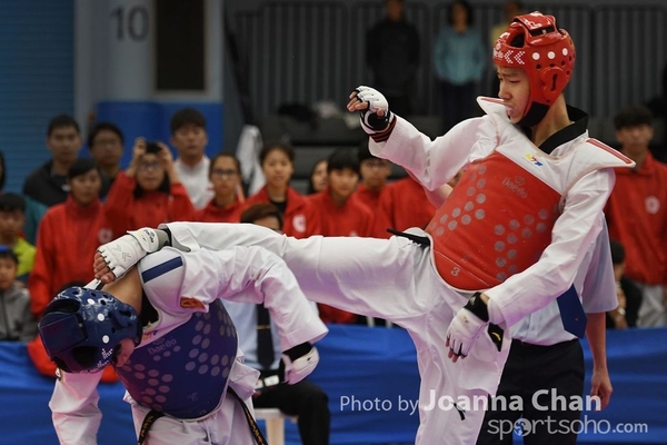 Taekwondo  (20)
