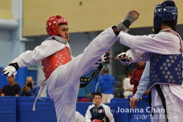 Taekwondo  (31)