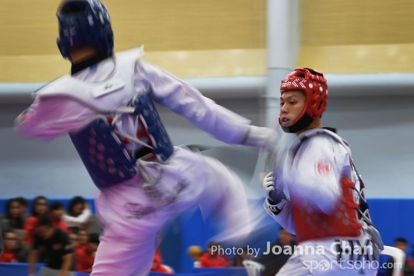 Taekwondo  (33)
