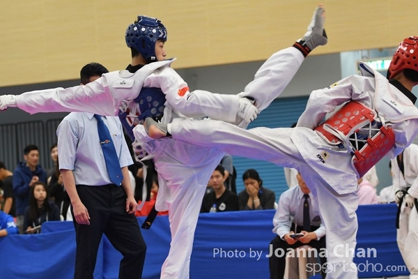 Taekwondo  (46)