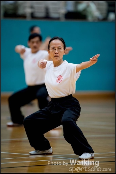 2017-05-14 Wushu 0031