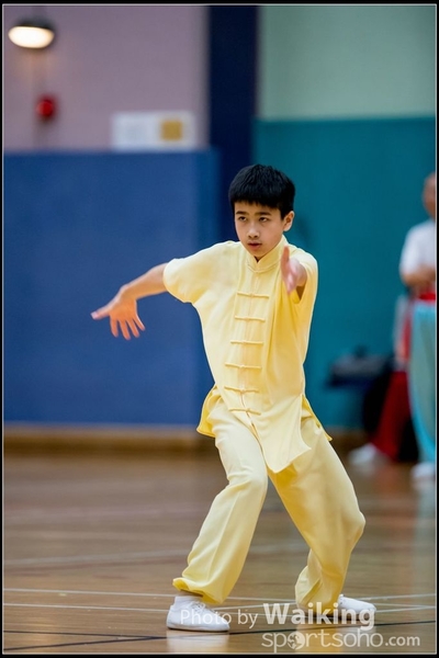 2017-05-14 Wushu 0039