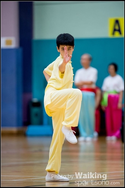 2017-05-14 Wushu 0040