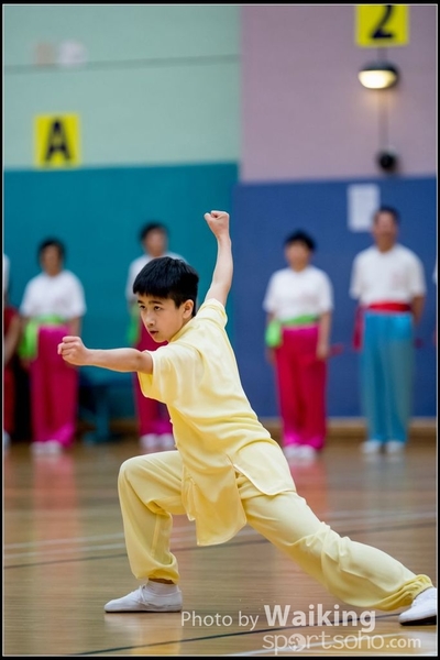 2017-05-14 Wushu 0042
