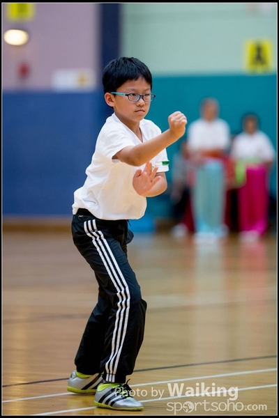 2017-05-14 Wushu 0046