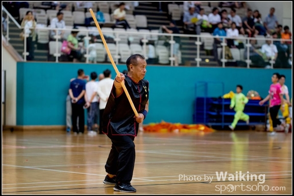 2017-05-14 Wushu 0110