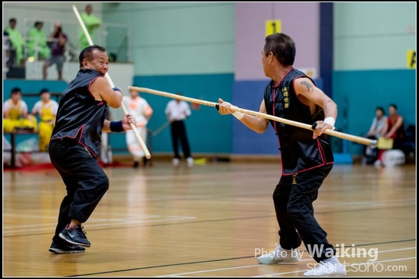 2017-05-14 Wushu 0113