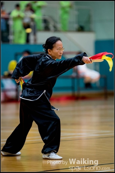2017-05-14 Wushu 0147
