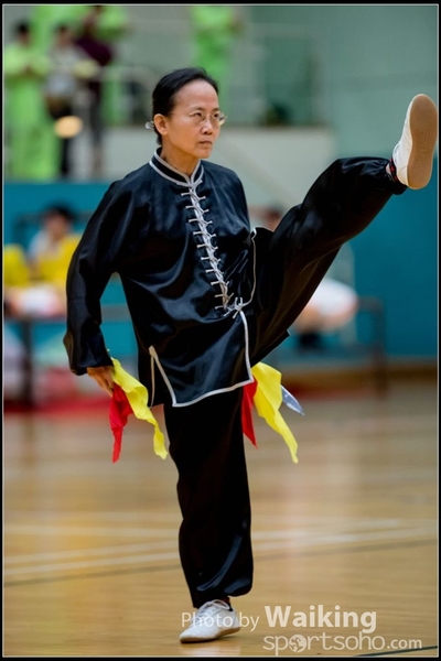 2017-05-14 Wushu 0148