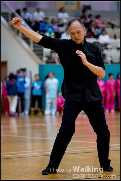 2017-05-14 Wushu 0162