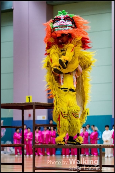 2017-05-14 Wushu 0181