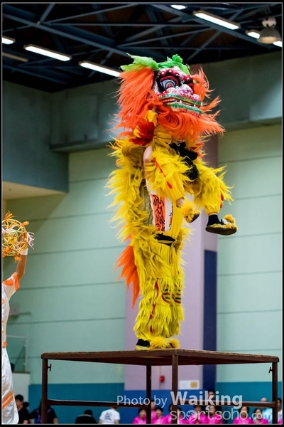 2017-05-14 Wushu 0184
