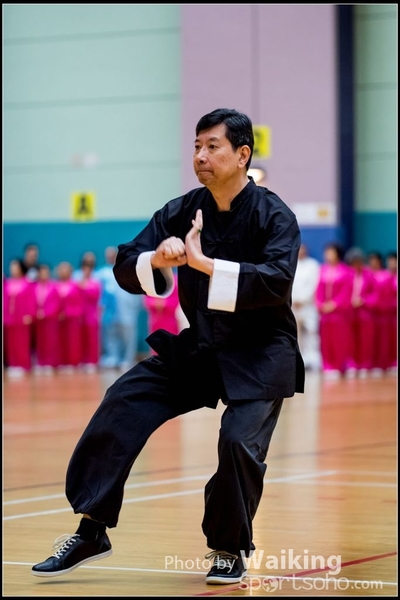 2017-05-14 Wushu 0209