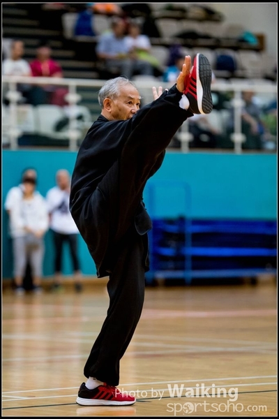 2017-05-14 Wushu 0223