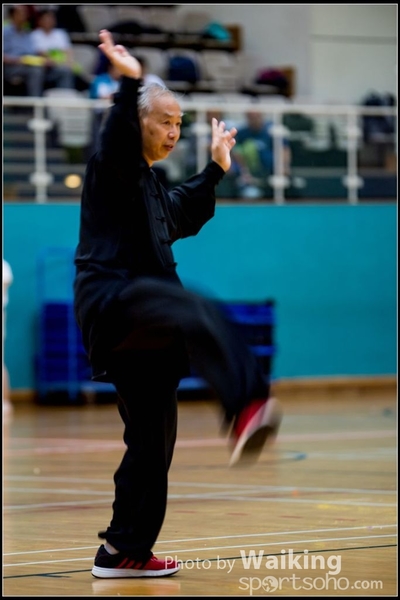 2017-05-14 Wushu 0225