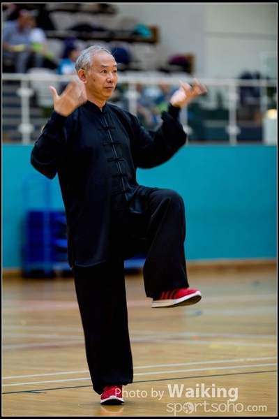 2017-05-14 Wushu 0226