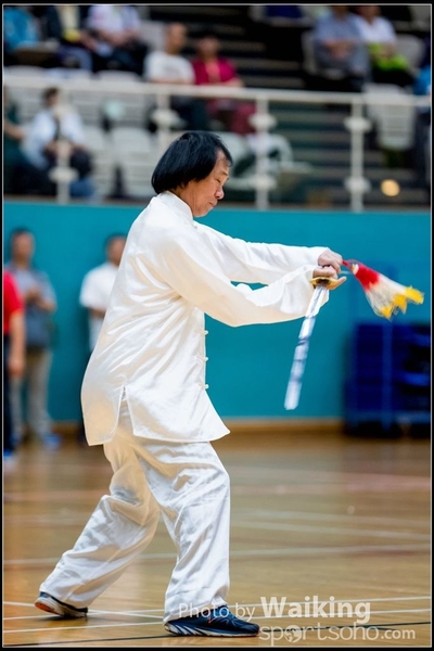 2017-05-14 Wushu 0237