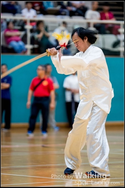 2017-05-14 Wushu 0239