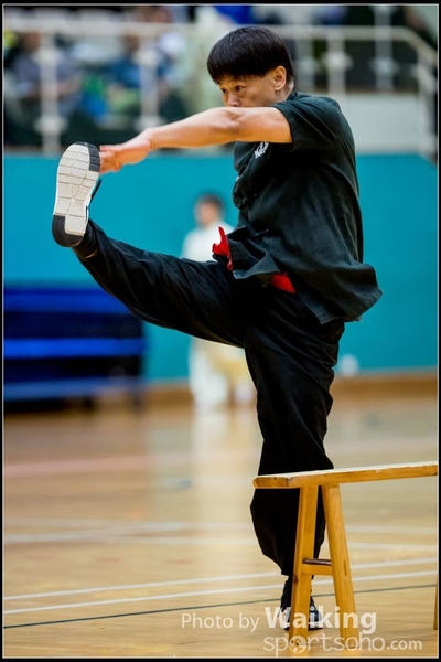 2017-05-14 Wushu 0267