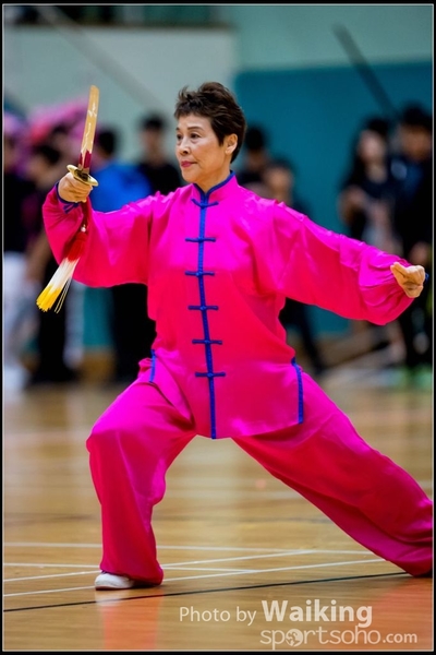 2017-05-14 Wushu 0275