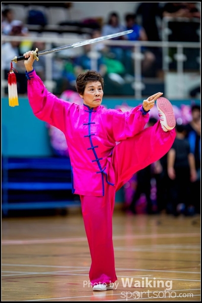 2017-05-14 Wushu 0285