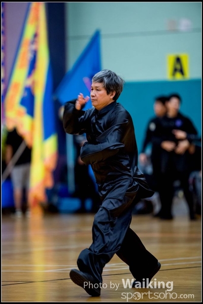 2017-05-14 Wushu 0309