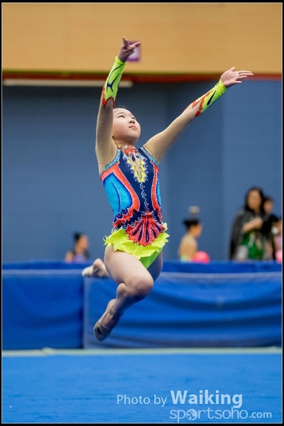 2017-05-20 Artistic Gym 0945