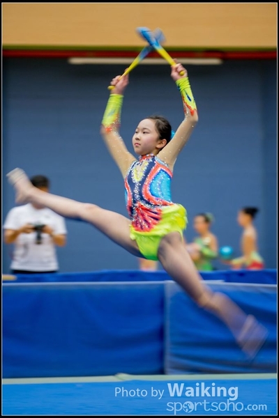 2017-05-20 Artistic Gym 0949