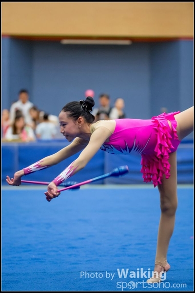 2017-05-20 Artistic Gym 1104