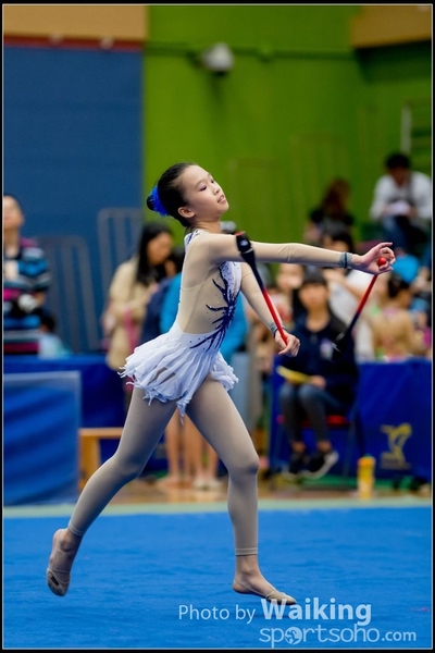 2017-05-20 Artistic Gym 1132