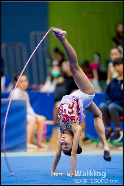 2017-05-20 Artistic Gym 1296