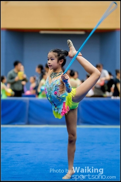 2017-05-20 Artistic Gym 1325