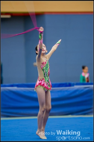 2017-05-20 Artistic Gym 1367