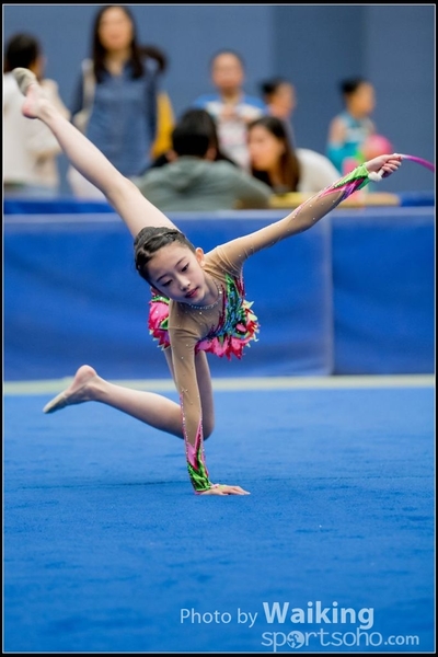 2017-05-20 Artistic Gym 1368