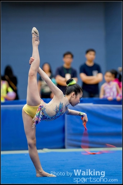 2017-05-20 Artistic Gym 1409
