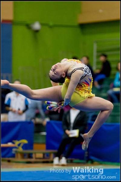 2017-05-21 Artistic Gym 0719