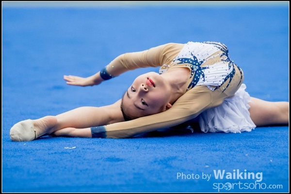 2017-05-21 Artistic Gym 1266