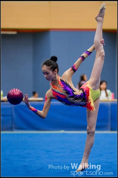2017-05-21 Artistic Gym 1443