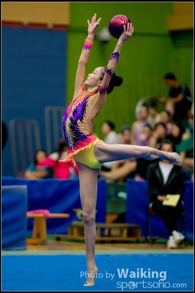 2017-05-21 Artistic Gym 1445