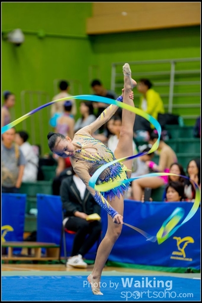 2017-05-21 Artistic Gym 1539