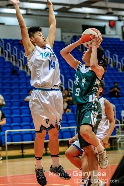 2017 香港籃球聯賽_0018