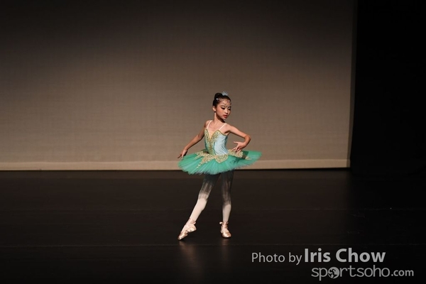 CYY_9308
