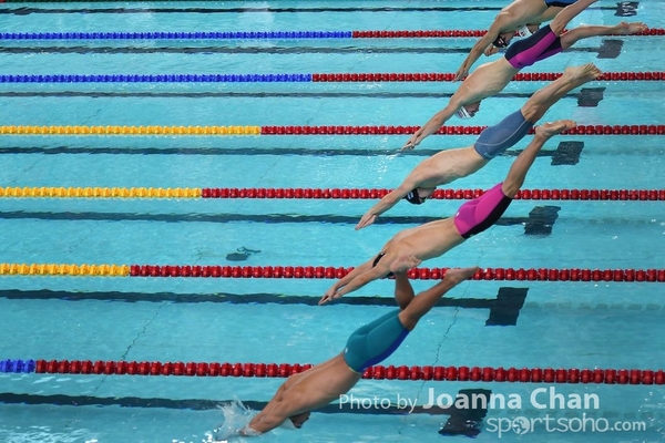 FINA   (42)